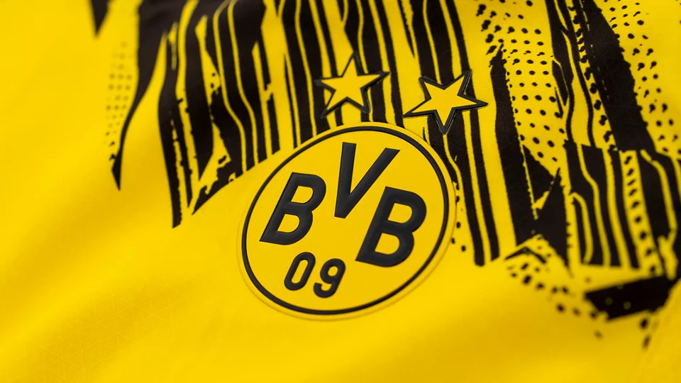 BVB 委托独立调查